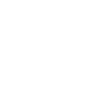 HPCT_Icon_Construction Helmet_White