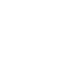 HPCT_Icon_Healthcare Inspection_White