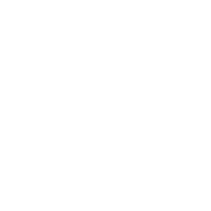 Icon_White_Energy