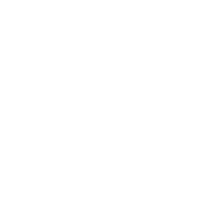 HPCT_Icon_Dust Contaminant_White