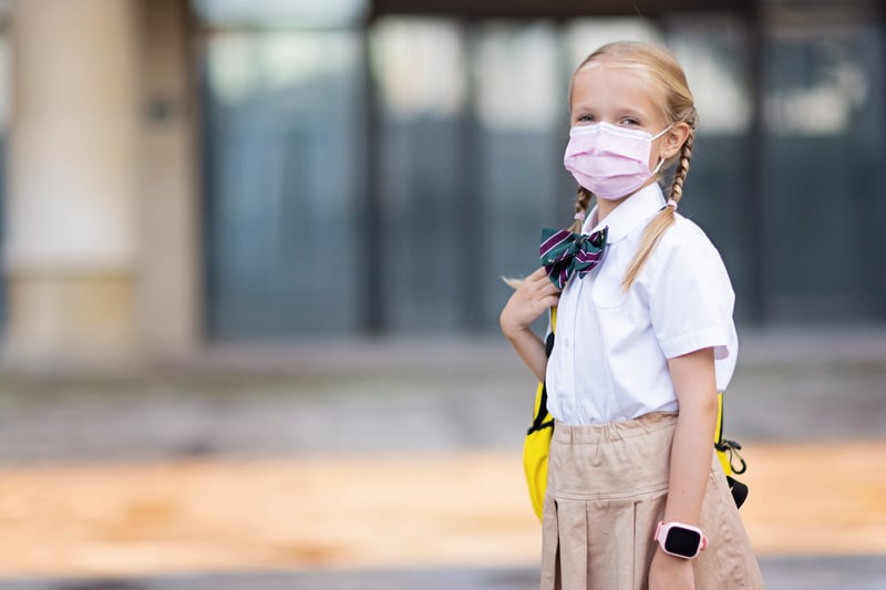 A student girl at the door of her school 