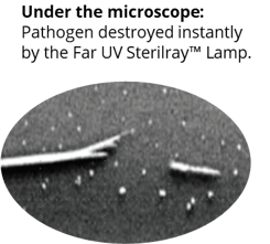 undermicrosocpe