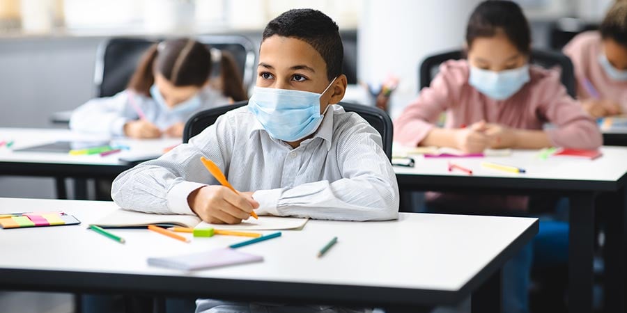 4 Ways Dust & Mold in Schools Make Students Sick